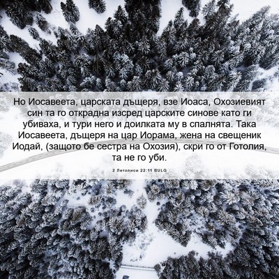 Picture 06 - 2 Летописи 22:11 BULG - Но Иосавеета, царската - Bible Verse Picture