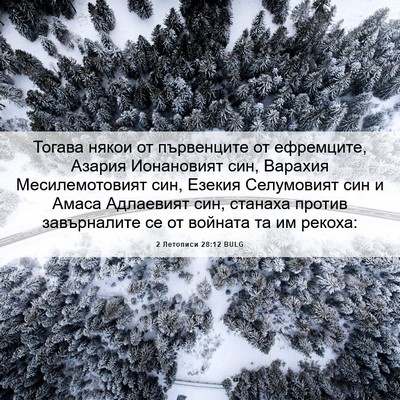 Picture 06 - 2 Летописи 28:12 BULG - Тогава някои от първенците - Bible Verse Picture