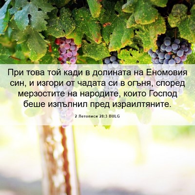 Picture 06 - 2 Летописи 28:3 BULG - При това той кади в - Bible Verse Picture