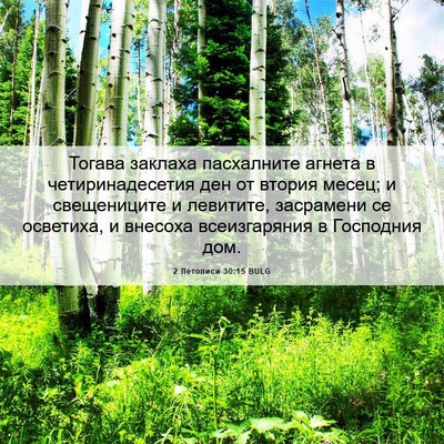 Picture 06 - 2 Летописи 30:15 BULG - Тогава заклаха пасхалните - Bible Verse Picture