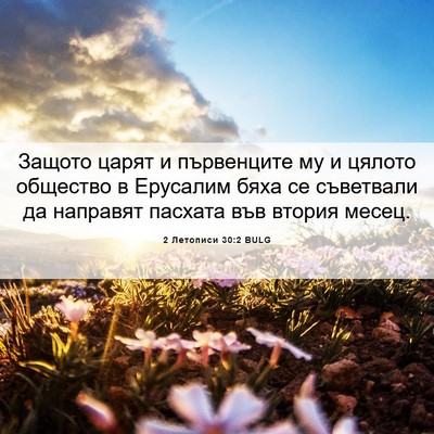 Picture 06 - 2 Летописи 30:2 BULG - Защото царят и първенците - Bible Verse Picture