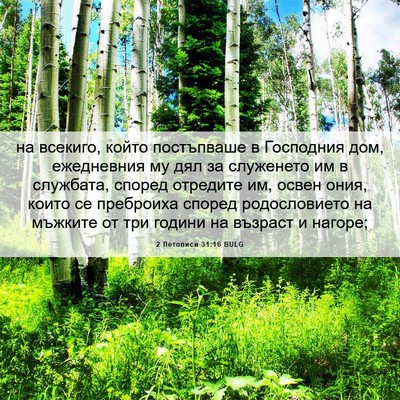 Picture 06 - 2 Летописи 31:16 BULG - на всекиго, който - Bible Verse Picture