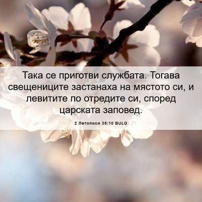 Picture 06 - 2 Летописи 35:10 BULG - Така се приготви службата. - Bible Verse Picture