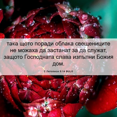 Picture 06 - 2 Летописи 5:14 BULG - така щото поради облака - Bible Verse Picture
