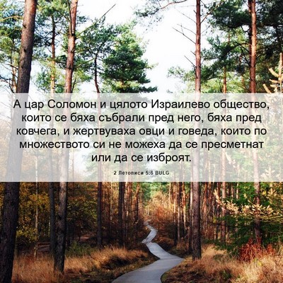 Picture 06 - 2 Летописи 5:6 BULG - А цар Соломон и цялото - Bible Verse Picture