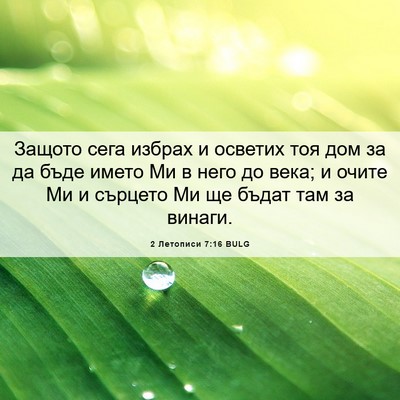 Picture 06 - 2 Летописи 7:16 BULG - Защото сега избрах и - Bible Verse Picture