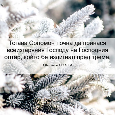 Picture 06 - 2 Летописи 8:12 BULG - Тогава Соломон почна да - Bible Verse Picture