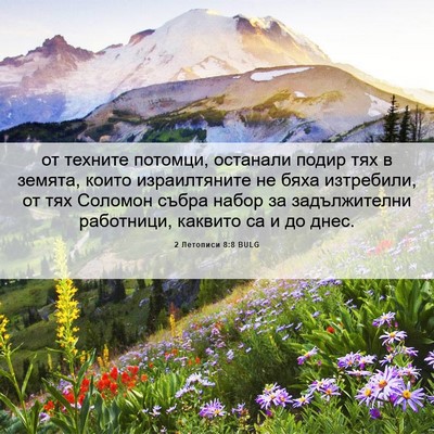 Picture 06 - 2 Летописи 8:8 BULG - от техните потомци, - Bible Verse Picture