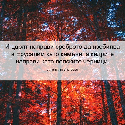 Picture 06 - 2 Летописи 9:27 BULG - И царят направи среброто - Bible Verse Picture