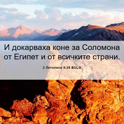 Picture 06 - 2 Летописи 9:28 BULG - И докарваха коне за - Bible Verse Picture
