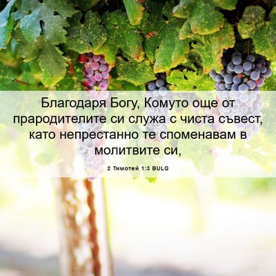 Picture 06 - 2 Тимотей 1:3 BULG - Благодаря Богу, Комуто още - Bible Verse Picture