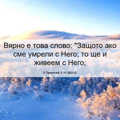 Picture 06 - 2 Тимотей 2:11 BULG - Вярно е това слово: 