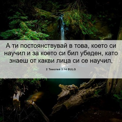 Picture 06 - 2 Тимотей 3:14 BULG - А ти постоянствувай в това, - Bible Verse Picture