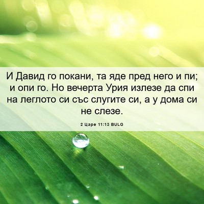 Picture 06 - 2 Царе 11:13 BULG - И Давид го покани, та яде - Bible Verse Picture
