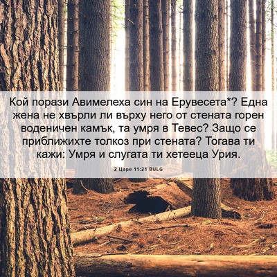 Picture 06 - 2 Царе 11:21 BULG - Кой порази Авимелеха син - Bible Verse Picture