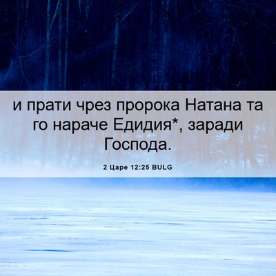 Picture 06 - 2 Царе 12:25 BULG - и прати чрез пророка - Bible Verse Picture