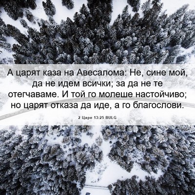 Picture 06 - 2 Царе 13:25 BULG - А царят каза на Авесалома: - Bible Verse Picture