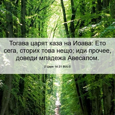 Picture 06 - 2 Царе 14:21 BULG - Тогава царят каза на Иоава: - Bible Verse Picture