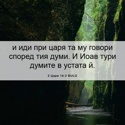 Picture 06 - 2 Царе 14:3 BULG - и иди при царя та му говори - Bible Verse Picture