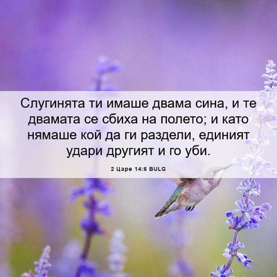 Picture 06 - 2 Царе 14:6 BULG - Слугинята ти имаше двама - Bible Verse Picture