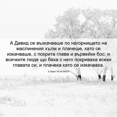 Picture 06 - 2 Царе 15:30 BULG - А Давид се възкачваше по - Bible Verse Picture