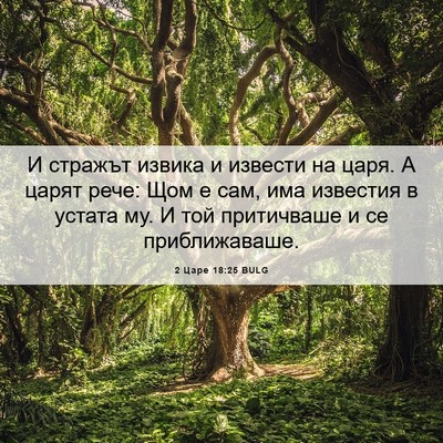 Picture 06 - 2 Царе 18:25 BULG - И стражът извика и извести - Bible Verse Picture