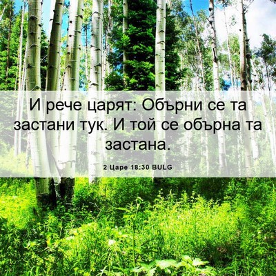 Picture 06 - 2 Царе 18:30 BULG - И рече царят: Обърни се та - Bible Verse Picture