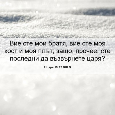 Picture 06 - 2 Царе 19:12 BULG - Вие сте мои братя, вие сте - Bible Verse Picture