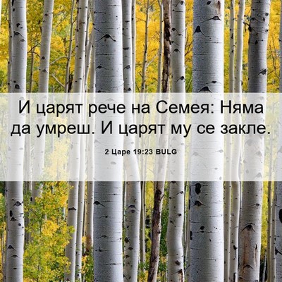 Picture 06 - 2 Царе 19:23 BULG - И царят рече на Семея: Няма - Bible Verse Picture