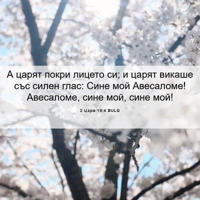 Picture 06 - 2 Царе 19:4 BULG - А царят покри лицето си; и - Bible Verse Picture