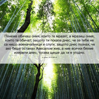 Picture 06 - 2 Царе 19:6 BULG - Понеже обичаш ония, които - Bible Verse Picture