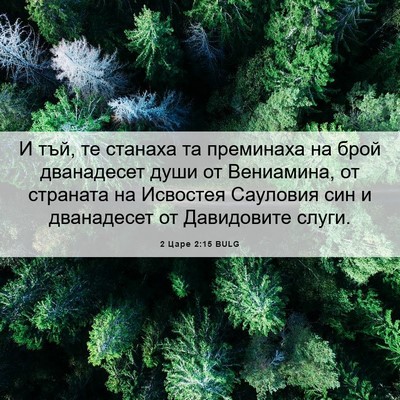 Picture 06 - 2 Царе 2:15 BULG - И тъй, те станаха та - Bible Verse Picture