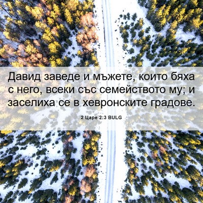 Picture 06 - 2 Царе 2:3 BULG - Давид заведе и мъжете, - Bible Verse Picture