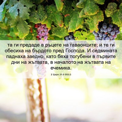Picture 06 - 2 Царе 21:9 BULG - та ги предаде в ръцете на - Bible Verse Picture