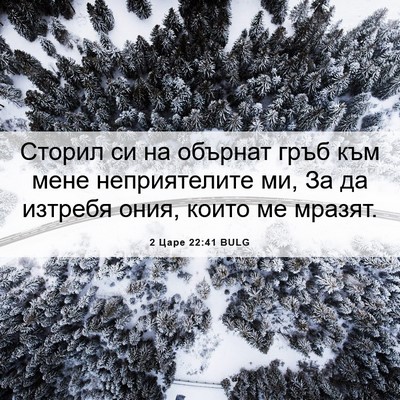 Picture 06 - 2 Царе 22:41 BULG - Сторил си на обърнат гръб - Bible Verse Picture