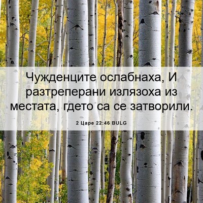 Picture 06 - 2 Царе 22:46 BULG - Чужденците ослабнаха, И - Bible Verse Picture