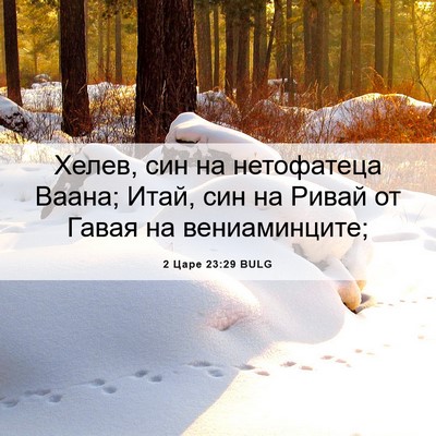 Picture 06 - 2 Царе 23:29 BULG - Хелев, син на нетофатеца - Bible Verse Picture