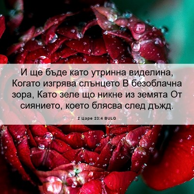Picture 06 - 2 Царе 23:4 BULG - И ще бъде като утринна - Bible Verse Picture