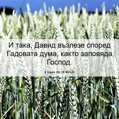 Picture 06 - 2 Царе 24:19 BULG - И така, Давид възлезе - Bible Verse Picture