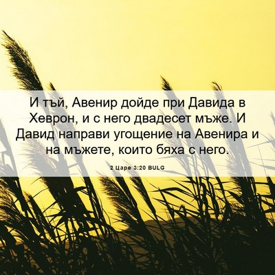 Picture 06 - 2 Царе 3:20 BULG - И тъй, Авенир дойде при - Bible Verse Picture