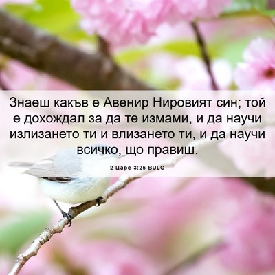 Picture 06 - 2 Царе 3:25 BULG - Знаеш какъв е Авенир - Bible Verse Picture