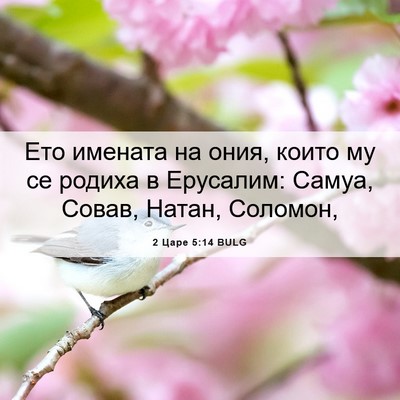Picture 06 - 2 Царе 5:14 BULG - Ето имената на ония, които - Bible Verse Picture