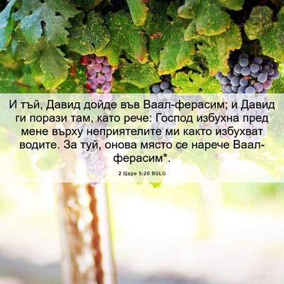 Picture 06 - 2 Царе 5:20 BULG - И тъй, Давид дойде във - Bible Verse Picture