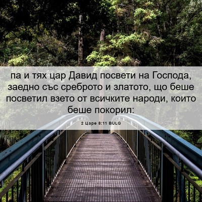 Picture 06 - 2 Царе 8:11 BULG - па и тях цар Давид посвети - Bible Verse Picture