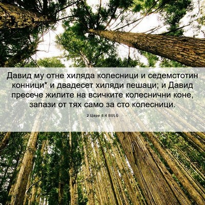 Picture 06 - 2 Царе 8:4 BULG - Давид му отне хиляда - Bible Verse Picture