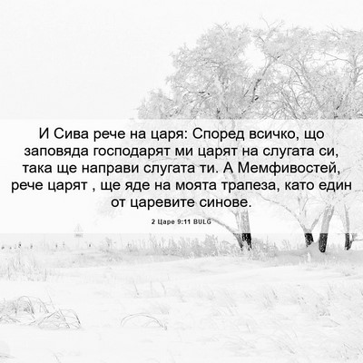 Picture 06 - 2 Царе 9:11 BULG - И Сива рече на царя: Според - Bible Verse Picture