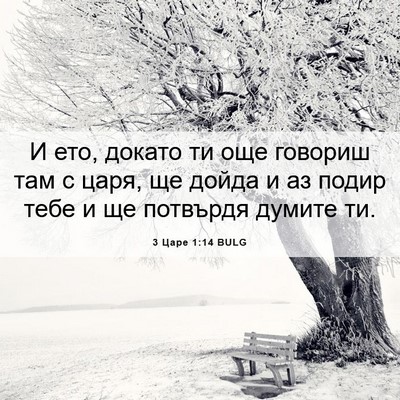 Picture 06 - 3 Царе 1:14 BULG - И ето, докато ти още - Bible Verse Picture