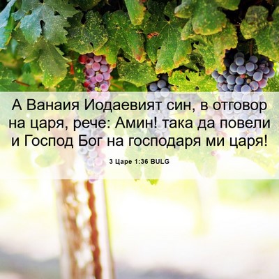 Picture 06 - 3 Царе 1:36 BULG - А Ванаия Иодаевият син, в - Bible Verse Picture
