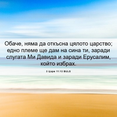 Picture 06 - 3 Царе 11:13 BULG - Обаче, няма да откъсна - Bible Verse Picture
