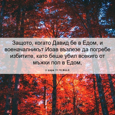 Picture 06 - 3 Царе 11:15 BULG - Защото, когато Давид бе в - Bible Verse Picture